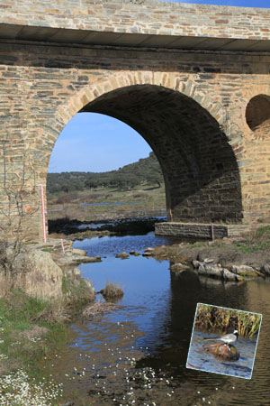 Brug over de Almonte